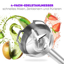 Stick Blender ProfiCook