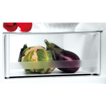 Refrigerator Indesit