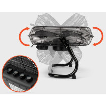 Air circulator Proficare, black