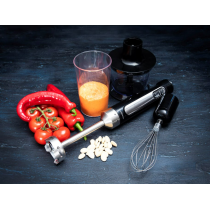 Stick blender with battery Gastronoma 18210002