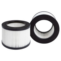 Filter Proficare õhupuhastajale LR3075 399988