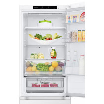LG GBV3100DSW