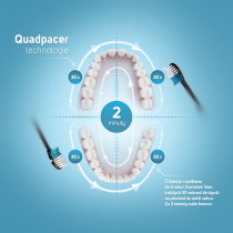 Electric toothbrush Sencor SOC4011GD, gold