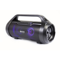 Portable bluetooth speaker SPK21