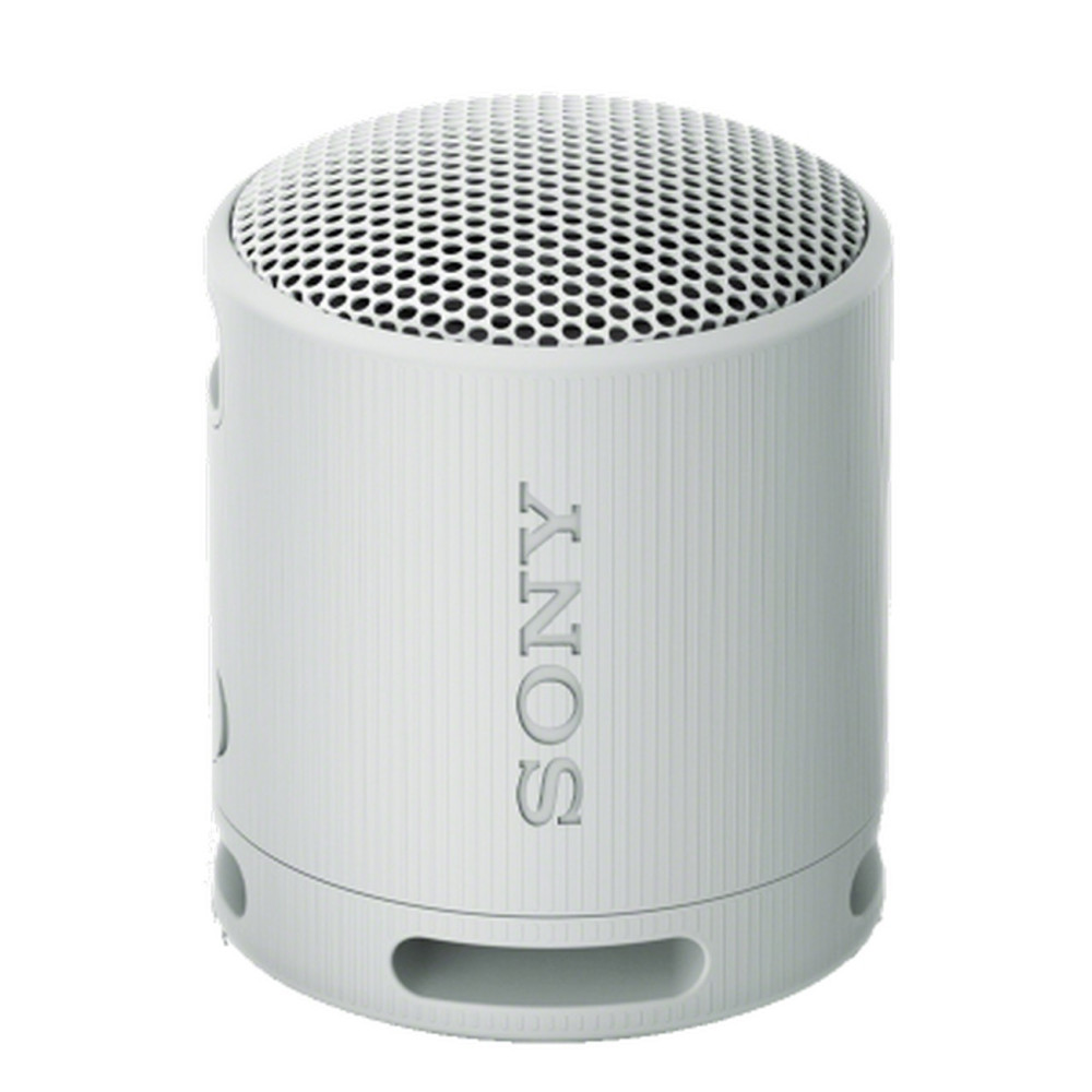 Sony SRS-XB100H