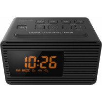 Panasonic RC-800EG-K