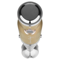 4 in 1 Hand blender Sencor, champagne