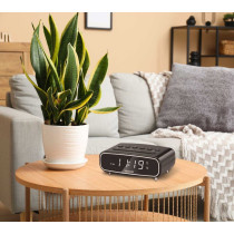 Kellraadio Sencor SRC2600B, must