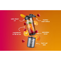 Nutribullet NBP013GM