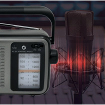 Raadio Manta MARDI919BK