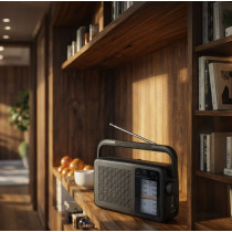 Portable Radio Manta