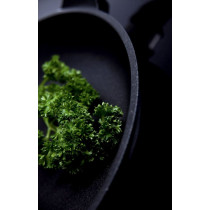 AMT GastroGuss Induction Wok