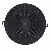 Carbon filter