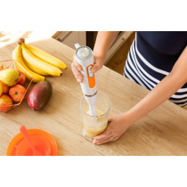 Hand Blender Sencor