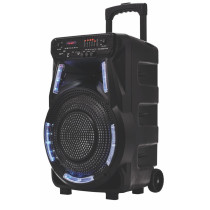 Party Audio loudspeaker Manta SPK5033